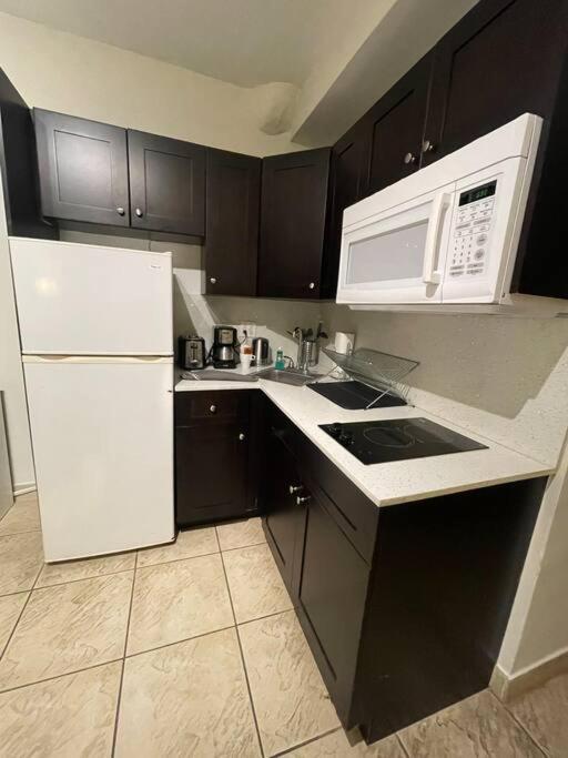 Charming Studio City View! Miami Beach Bagian luar foto